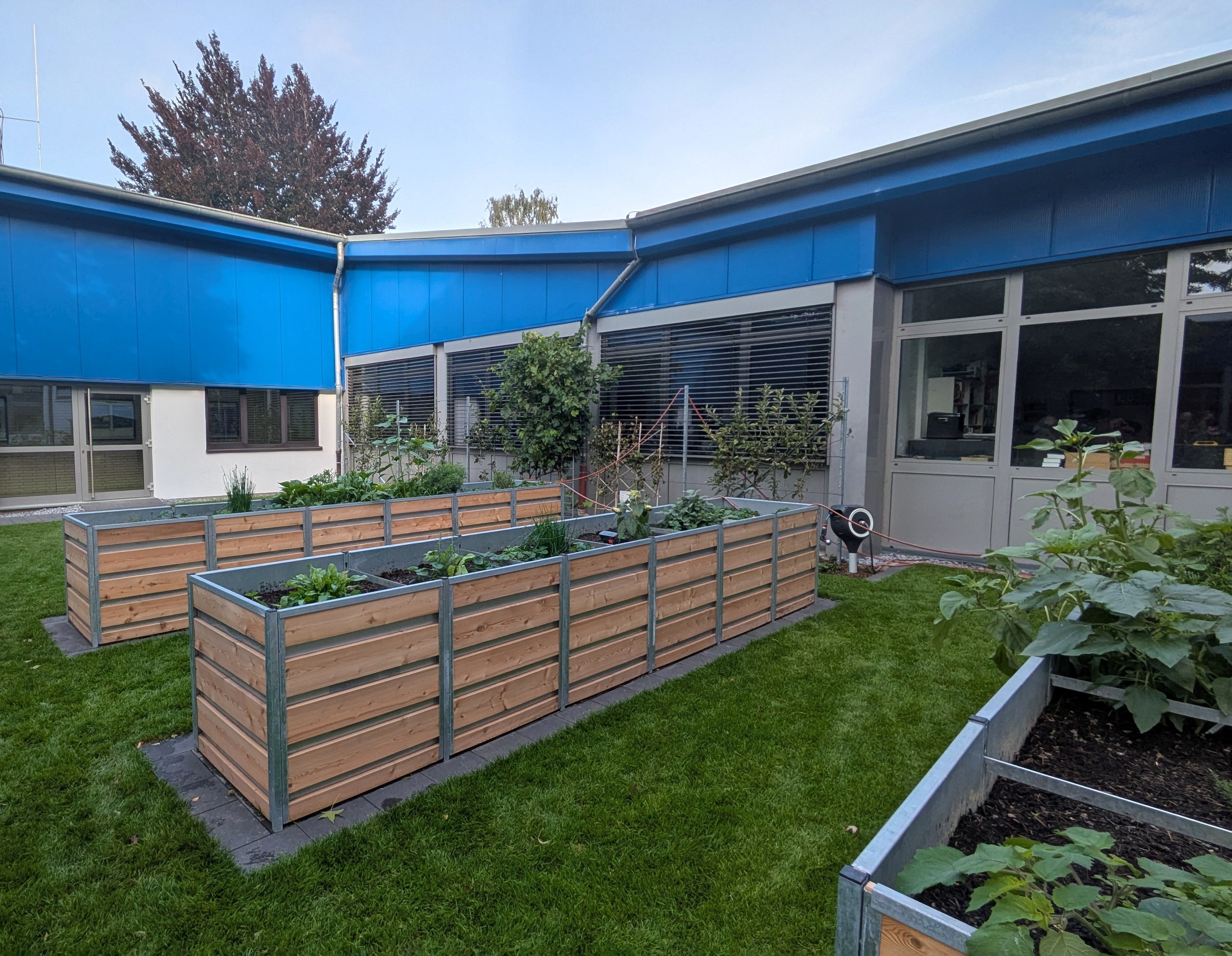 Grünes Klassenzimmer